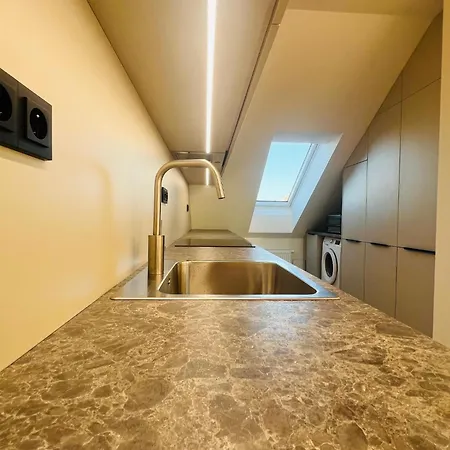 New Sunny Rooftop With A Terrace 10 Minutes From City Centre Appartement Prague